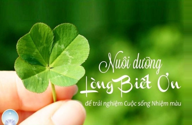 Đẹp Thay Những Bước Đi (Nghĩa Ca) - Trần Đình Duệ - Hoàng Oanh